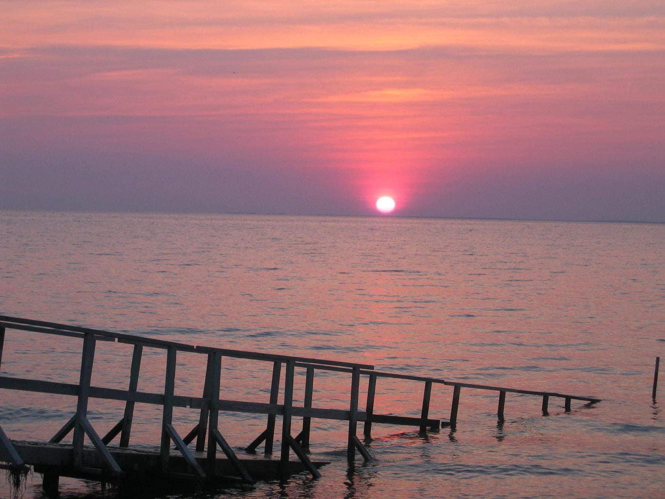 Tummy Tuck Cosmetic Surgery Excellence:Video Testimonial of Happy Patient