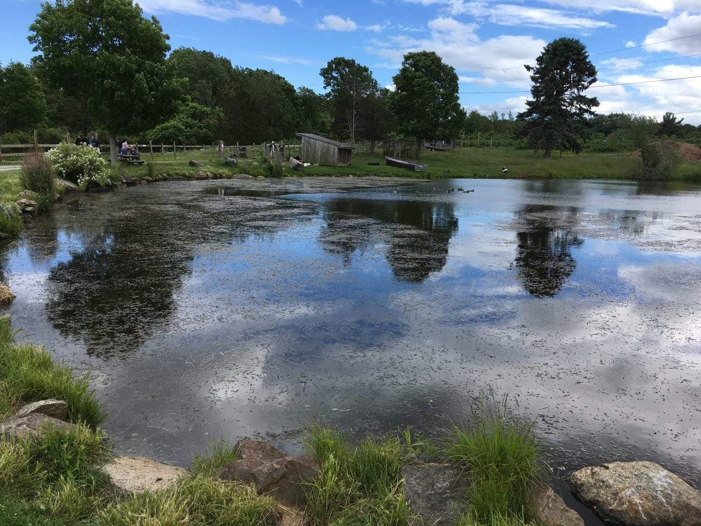 Happy Cosmetic Surgery Excellence Dr Kimberley OSullivan RI Video Testimonial