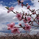 Click to see Video Testimonials confirming Dr. O'Sullivan's is the Best Female Cosmetic Plastic Surgeon serving New England, CT, MA, RI